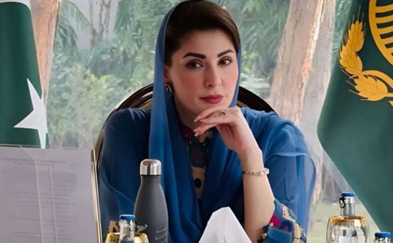 مریم نواز نے تمام وزراء کیلئے سرکاری پٹرول بند کر دیا