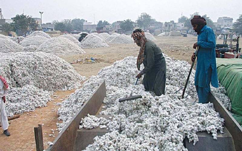 مشرقِ وسطیٰ جنگ: روئی کی قیمت میں 500 روپے فی من اضافہ 