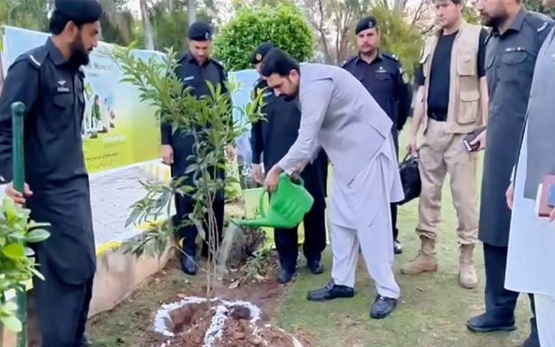 خیبرپختونخوا میں شجرکاری مہم کا آغاز، وزیر اعلیٰ سہیل آ فریدی نےپودالگایا
