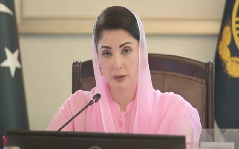 توانائی بحران پر قابو پانے کیلئے اہم سفارشات وزیراعلیٰ پنجاب کو پیش