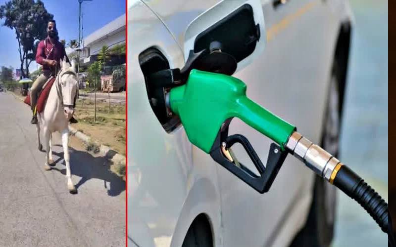پٹرول کی قلت، بینک ملازم گھوڑے پر دفتر پہنچ گیا