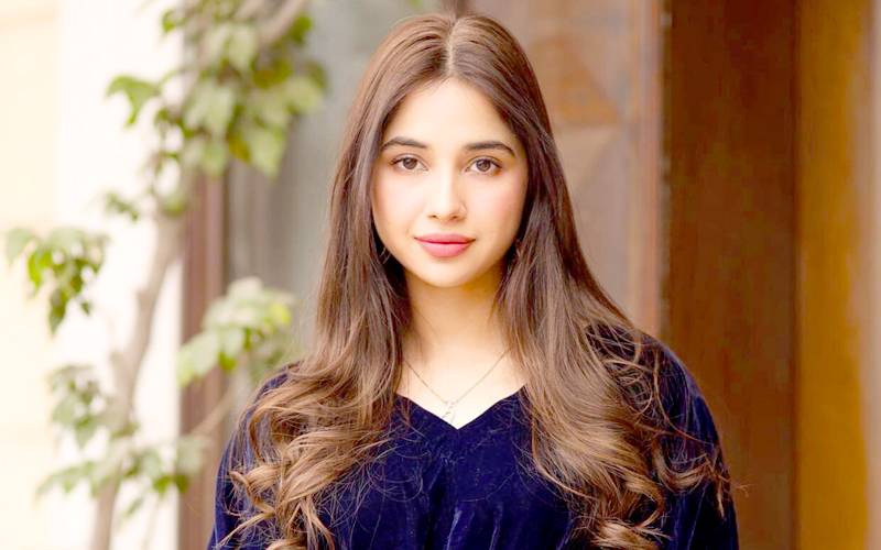 سبینہ فاروق کی ذاتی تنازعات میں خواتین کو نشانہ بنانے پر شدید تنقید