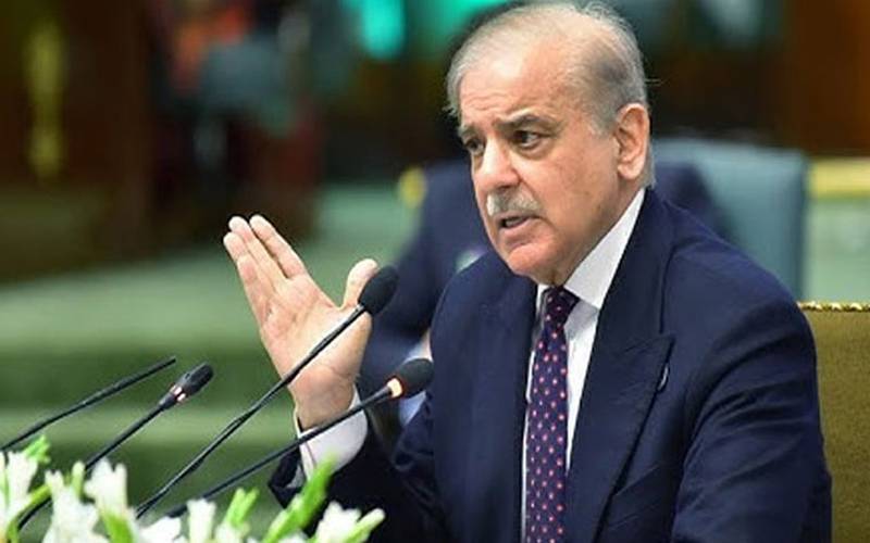 پٹرولیم مصنوعات کی ملکی ضروریات کیلئے مناسب مقدار موجود ہے: شہباز شریف
