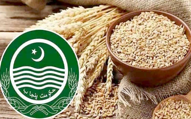 پنجاب کابینہ سے گندم پالیسی 2026 کی منظوری 