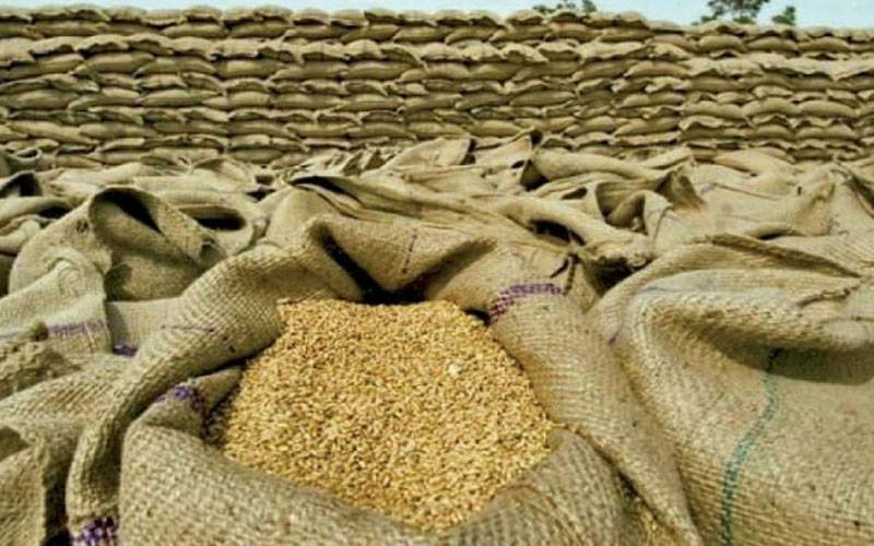  حکومت کا گندم کو ذخیرہ کرنے کیلئے پاسکو کی جگہ نئی کمپنی بنا نے کا فیصلہ