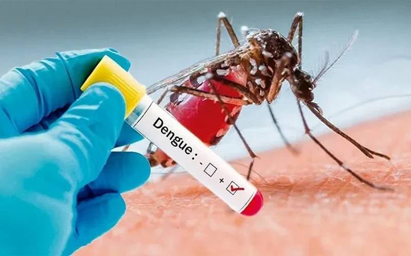 پنجاب حکومت کا ڈینگی سے بچاؤ کیلئے اہم اقدام،طلبا میں آگاہی مہم تیز
