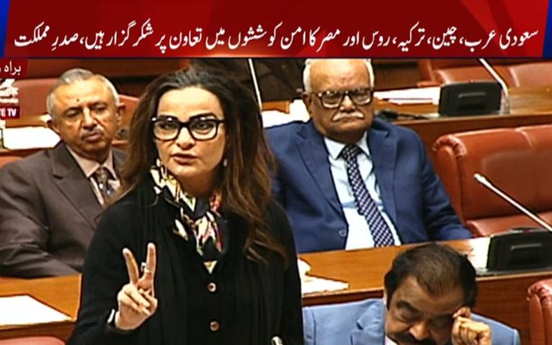 آج پاکستان کا وقت،  عالم اسلام کو بچایا، کامیابی کو مستحکم کرنےکیلئے مزید محنت، سینیٹ میں قیادت کی گفتگو
