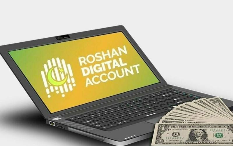 روشن ڈیجیٹل اکاؤنٹس کی تعداد میں نمایاں اضافہ