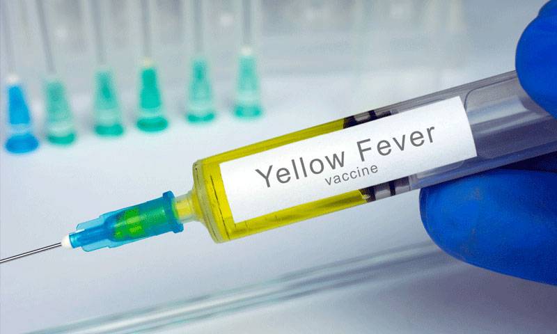 ییلو فیور کے خلاف جنگ میں بڑی کامیابی، نئی ویکسین بھی مؤثر ثابت