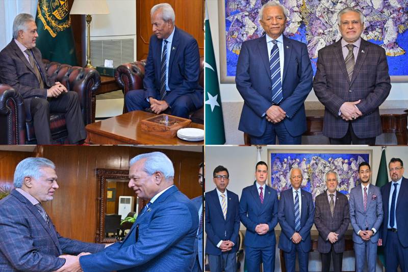 گورنر سندھ نہال ہاشمی نے نائب وزیراعظم اسحاق ڈار سے ملاقات