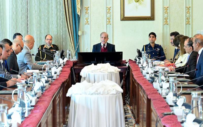 اوور انوائسنگ کے مرتکب تمام افراد کیخلاف قانونی کارروائی تیز  کی جائے:شہباز شریف