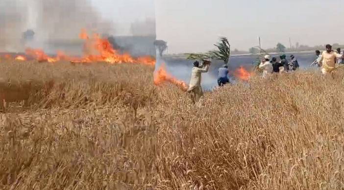  آگ نے گندم کی ساڑھے نو ایکڑ رقبہ پر تیار فصل خاکستر کر ڈالی