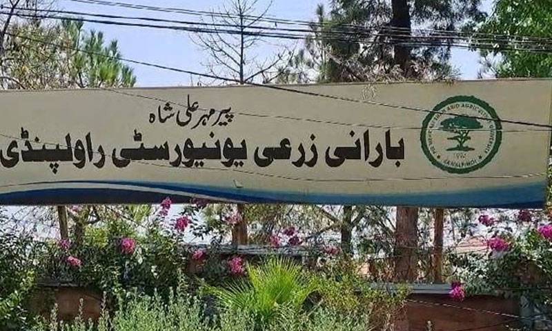 سیکیورٹی وجوہات کی بنا پر روالپنڈی بارانی یونیورسٹی کو بند کرنے کا  فیصلہ
