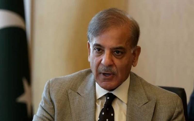  شہباز شریف کا ترقیاتی منصوبوں میں پبلک پرائیویٹ پارٹنر شپ کے ذریعے تیزی لانے کا حکم
