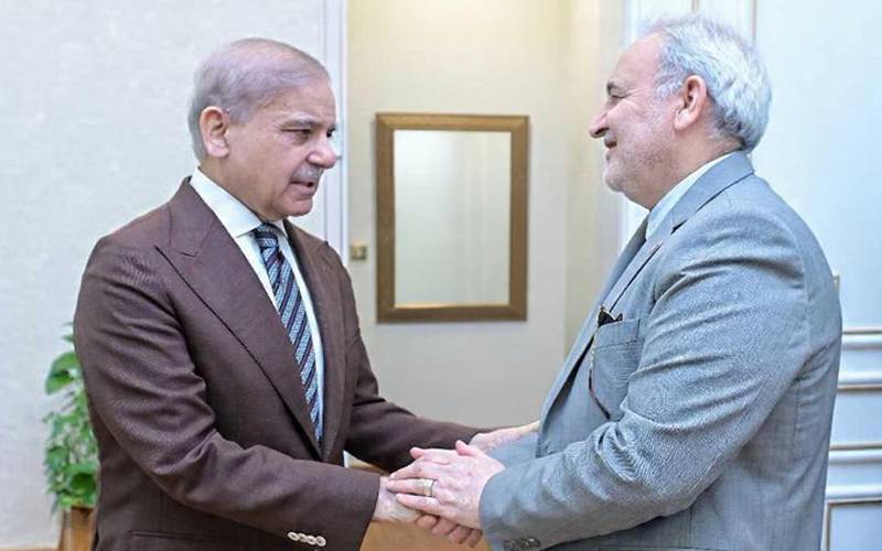  شہباز شریف سے ایرانی سفیر کی ملاقات،علاقائی صورتحال اورمذاکرات پر گفتگو