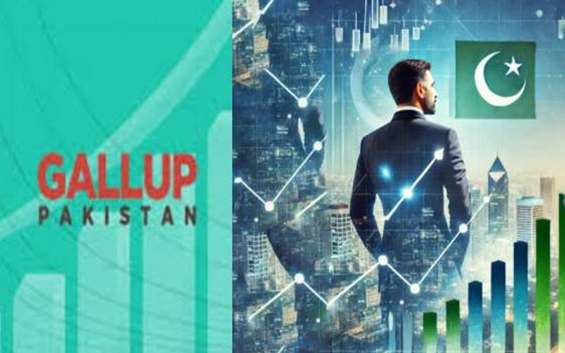 توانائی بحران اورعلاقائی کشیدگی کےباعث کاروباری اعتماد میں نمایاں کمی آئی:گیلپ پاکستان 