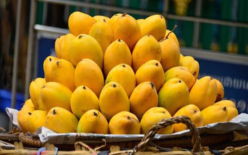 معیار بچانے کیلئے آم کی برآمدات میں تاخیر کی تجویز