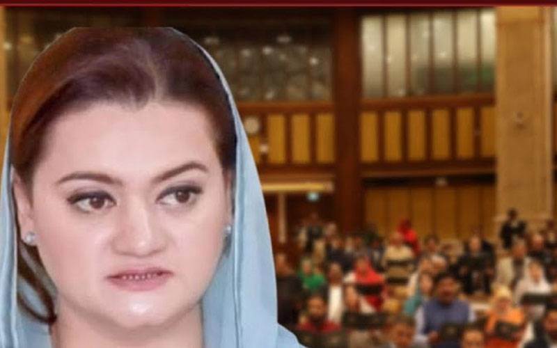  پنجاب اسمبلی میں مریم اورنگزیب کے خطاب کے دوران  اپوزیشن ارکان کا شورشرابا 