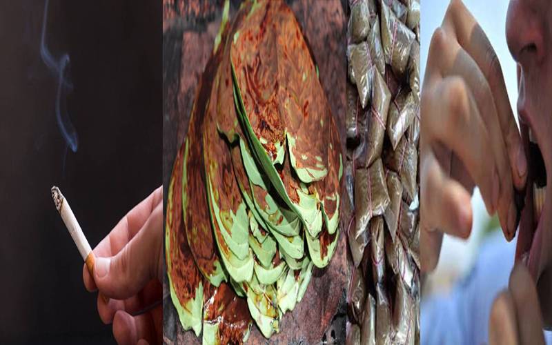 پان، سگریٹ اور نسوار کی فروخت اور استعمال پر پابندی  