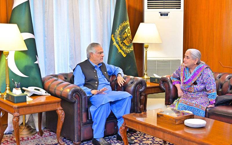 اسحاق ڈار سے وزیر صحت سندھ کی ملاقات، مختلف امور پر تبادلہ خیال