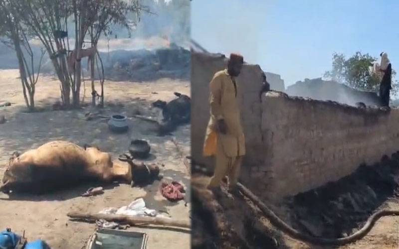  گھر میں ہولناک آتشزدگی، 5 مویشی ہلاک،گھریلو سامان جل کر راکھ 