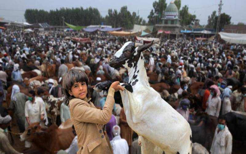عید الاضحیٰ 2026 پر کتنی چھٹیاں ملیں گی، اہم خبر جانیے