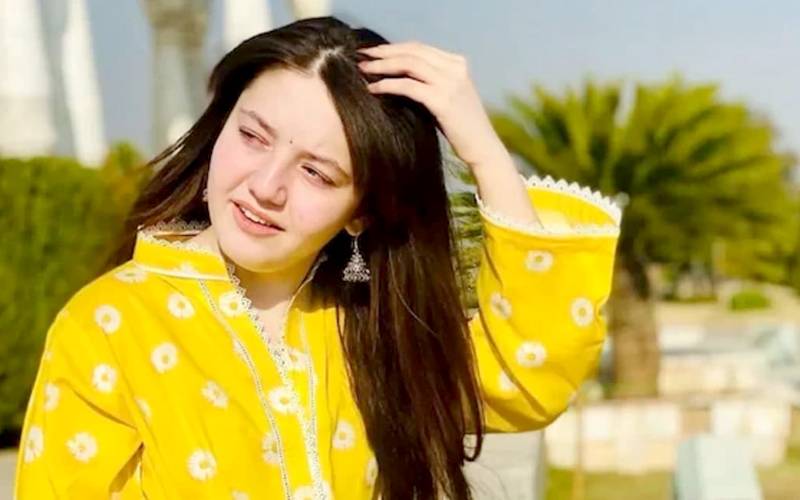 ٹک ٹاکرثناء یوسف قتل کیس ؛گواہان کے بیانات پر جرح مکمل
