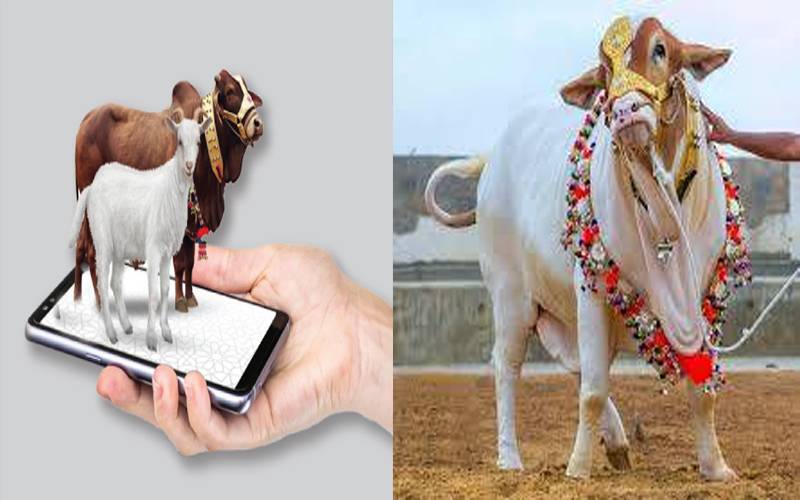 آن لائن قربانی کی طرف شہریوں کا بڑھتا رجحان، بکنگ کا طریقہ کار کیا ہے؟