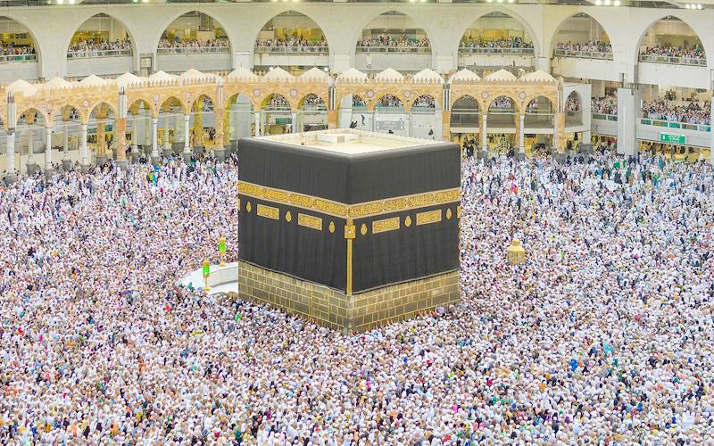  207 پروازوں کے ذریعے 52 ہزار 195  عازمین حج حجازمقدس پہنچ گئے