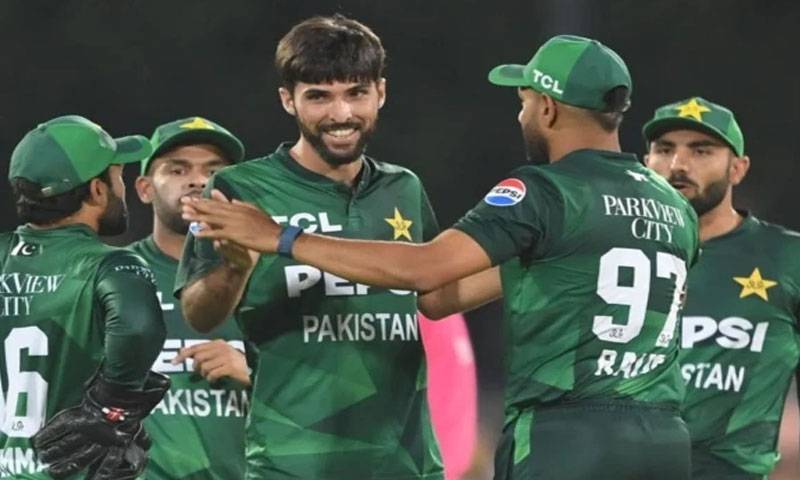 پاکستانی کرکٹر عرفان نیازی کو سیٹ بیلٹ نہ لگانے پر وارننگ 