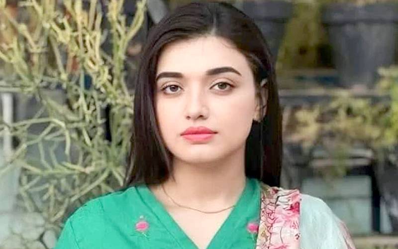  ریاست مخالف ٹویٹ؛ فلک جاوید کے خلاف کیس کی سماعت ملتوی