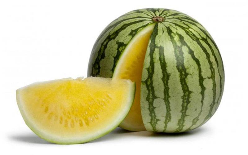 حافظ آباد میں زرد تربوز کی کاشت میں اضافہ
