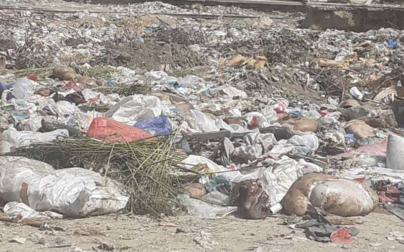 کراچی میں سڑکوں پر آلائشیں پھینکنے والوں کے خلاف کارروائی کا فیصلہ 