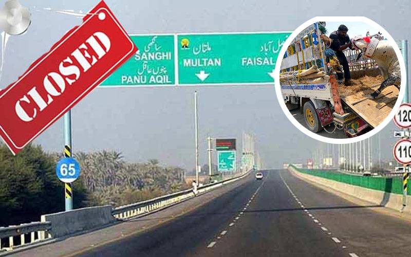 عیدالاضحیٰ: موٹر ویز پر جانوروں سے لدی گاڑیوں کے داخلے پر پابندی 