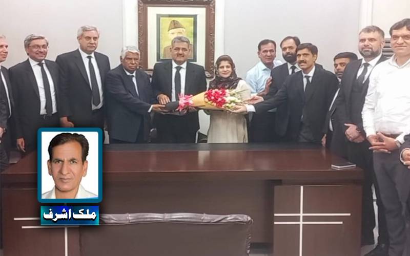 ڈاکٹر شازیہ نورین قریشی قانون کی تدریس، کردار سازی اور علمی وقار کی ایک درخشاں علامت