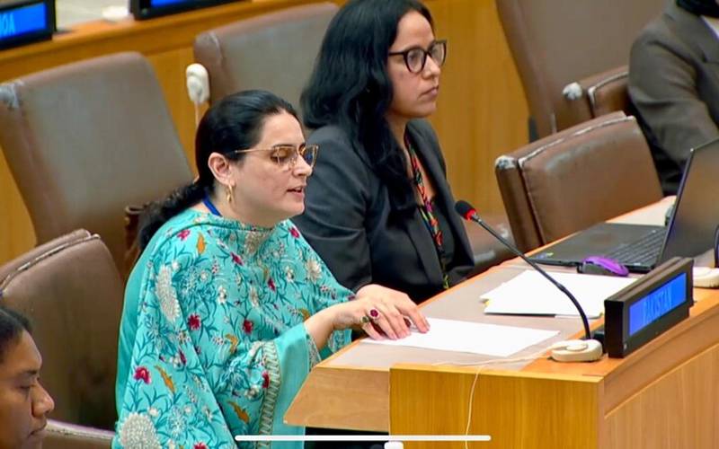 بھارت دہشتگردی برآمد کرتا ہے:پاکستان کا سلامتی کونسل اجلاس میں مودی حکومت کو کرارا جواب