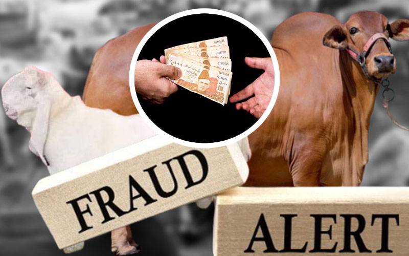 جعلی نوٹوں سے قربانی کے جانور خریدنے والا گروہ متحرک، شاطر کارندہ دھر لیا گیا 