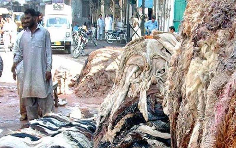 محکمہ داخلہ پنجاب کی کالعدم تنظیموں کو قربانی کی کھالیں نہ دینے کی اپیل