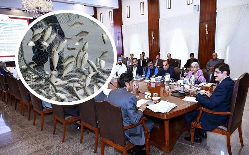 سندھ کابینہ کا اجلاس، سالانہ ماہی گیری پابندی میں 15 دن کی نرمی منظوری