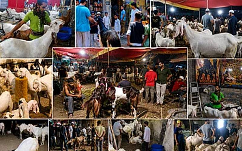 عید الاضحیٰ ،منڈیوں میں خریداروں کا رش