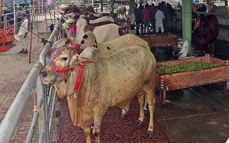 عید قربان پر قصابوں کے ریٹس جاری 