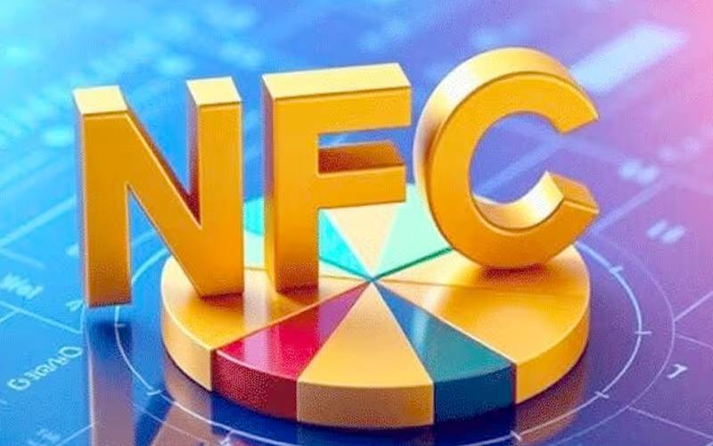  این ایف سی ایوارڈ؛ صوبوں کو 8 ہزار 2 سو ارب دینے کا تخمینہ