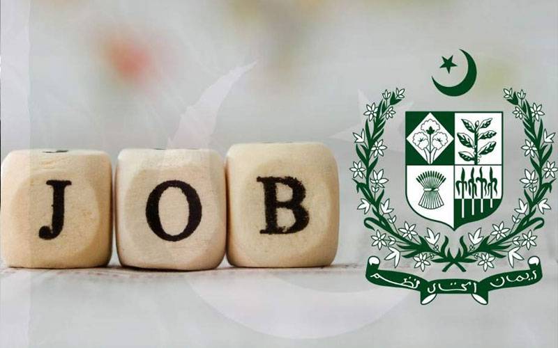 بے روزگاروں کی سنی گئی،حکومت نئے مالی سال میں بیس لاکھ نوکریوں کا سیلاب لائےگی
