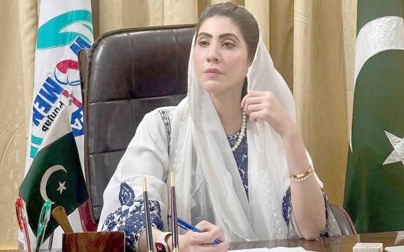 پنکی پر ڈرامہ بنانے کی اطلاعات؛حناپرویزبٹ کاسخت ردعمل آگیا