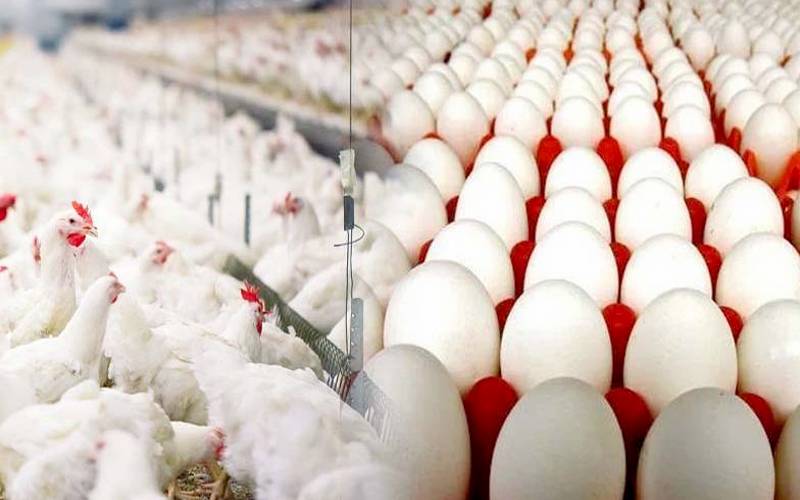 مرغی اورانڈے مزیدمہنگے،شہریوں نے بڑامطالبہ کردیا