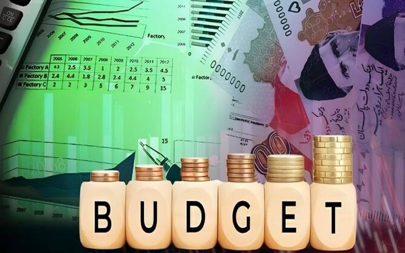  وفاقی بجٹ سے قبل سرکاری ملازمین کی احتجاجی تحریک تیز، ملک گیر دھرنوں کا اعلان