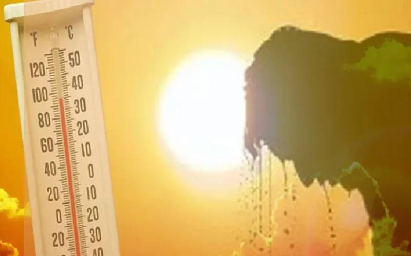 ملک بھر میں شدید گرمی کی لہر برقرار ،محکمہ موسمیات نے بارش کی بھی نوید سنا دی