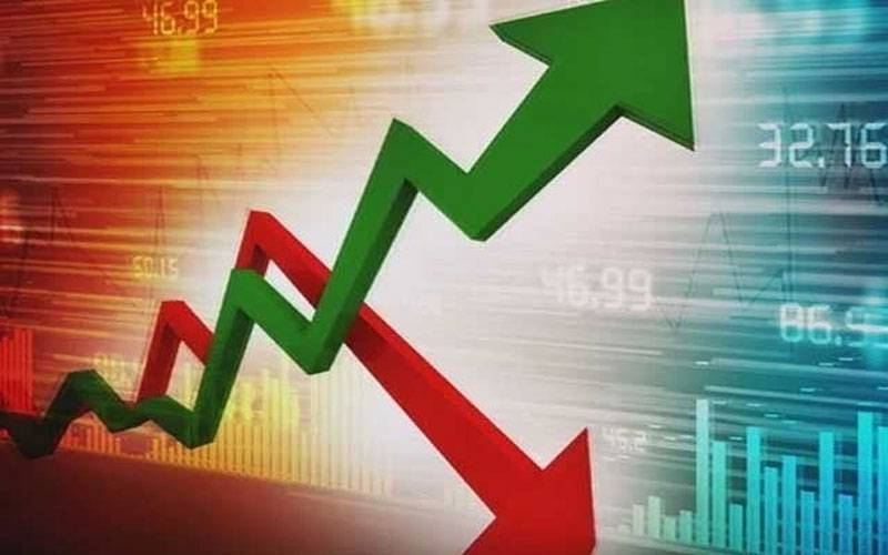 شرح ترقی 8.5فیصد: اکنامک پالیسی اینڈ بزنس ڈویلپمنٹ نے پانچ سالہ شیڈو ڈویلپمنٹ پلان  پیش کردیا