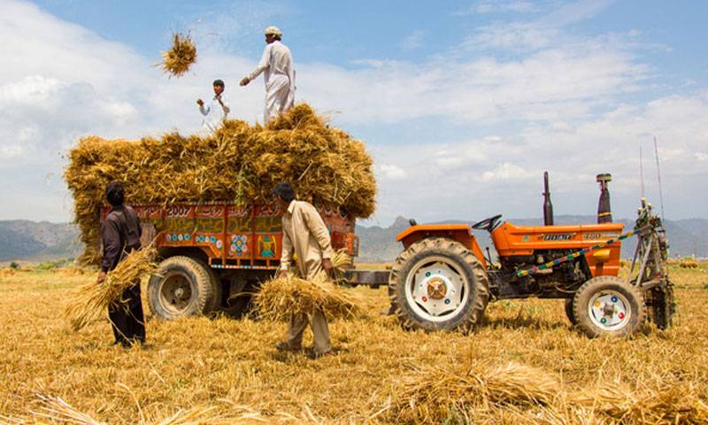 پاکستان کسان اتحاد نے وفاقی بجٹ کو مسترد کر دیا 