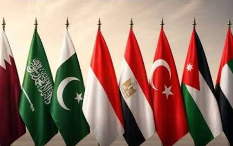 8عرب و اسلامی ممالک کے وزرائے خارجہ کا فلسطین پر مشترکہ مذمتی اعلامیہ جاری